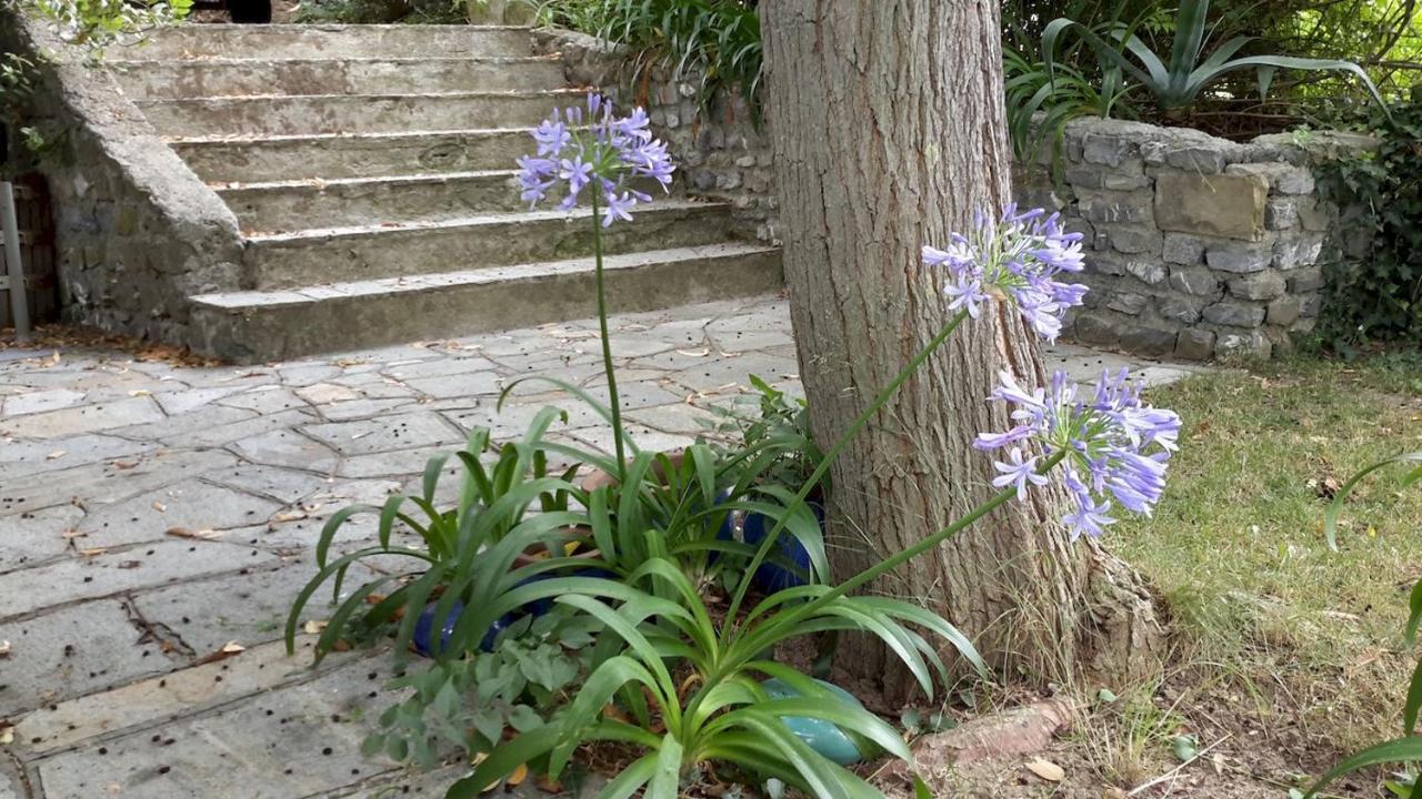 Deliziosa Casetta Con Dehor E Giardino Immersa Nel Verde Ligure Imperia Exterior foto